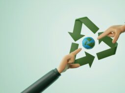 Driving Change Eco-Friendly Practices Shaping Modern Businesses