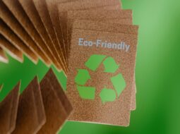 Eco-Friendly Practices Shaping Modern Businesses